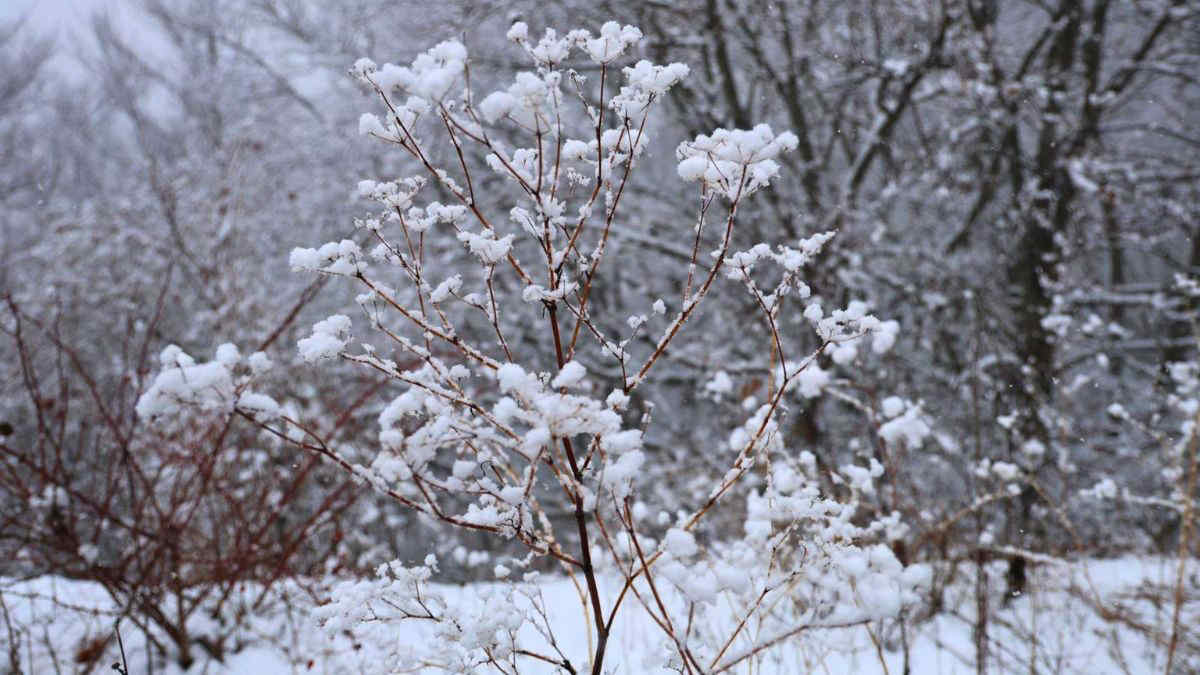 Meteo, freddo e maltempo anche dopo l'Epifania: la tendenza fino al weekend