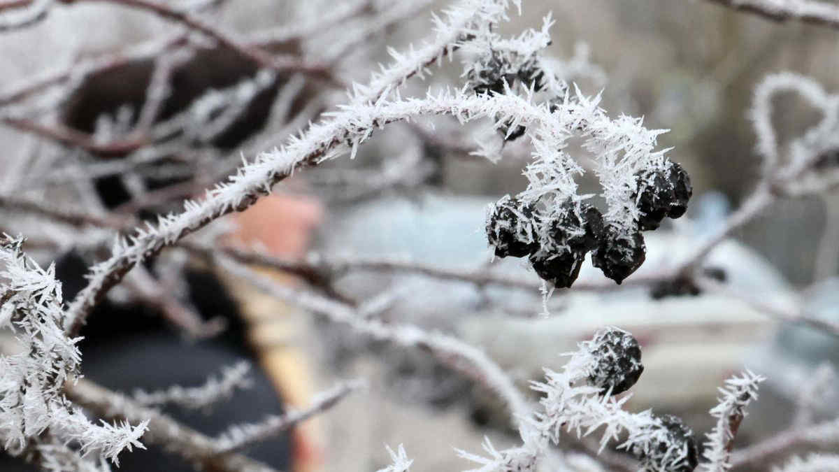 Meteo: settimana al via col freddo, poi temperature in rialzo. La tendenza da lunedì 12 gennaio