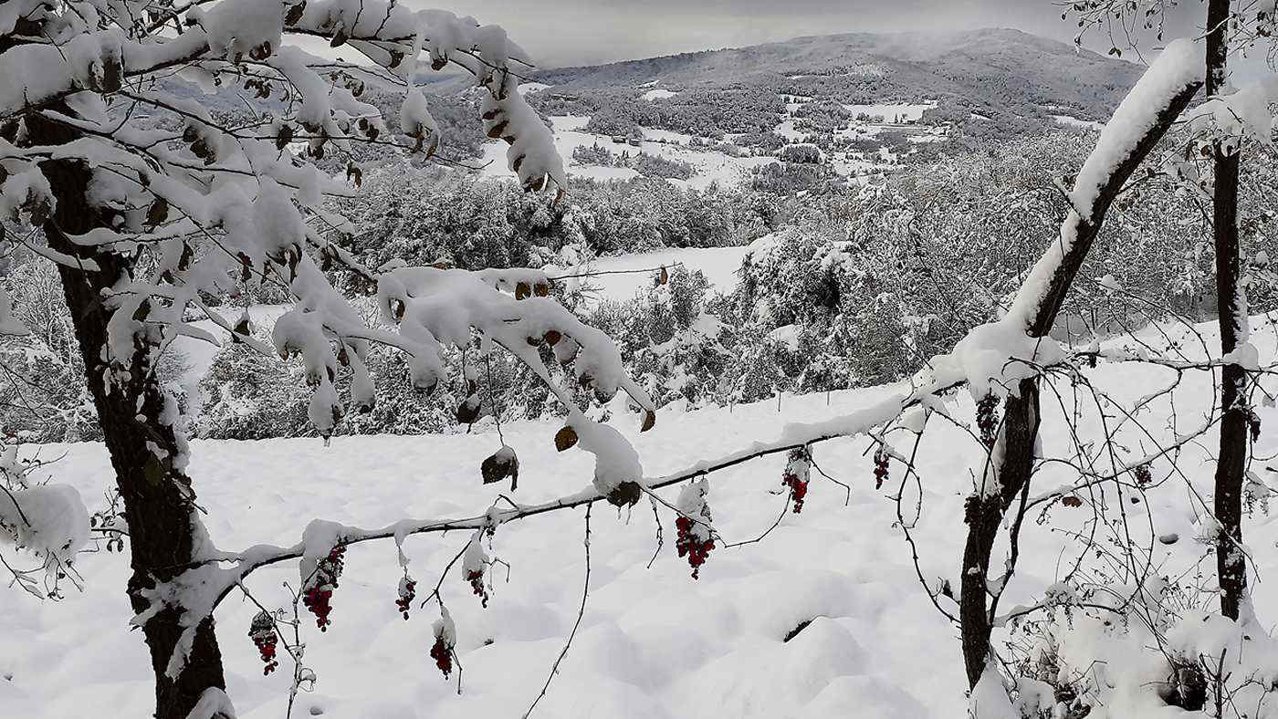 Meteo: neve in Italia, dove nevicherà nei prossimi giorni