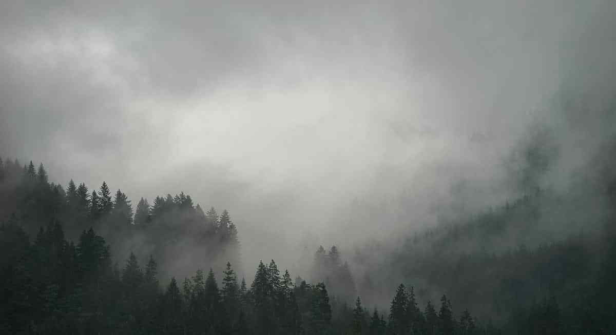 Meteo prossimi giorni: nebbie dal Piemonte all'Emilia Romagna