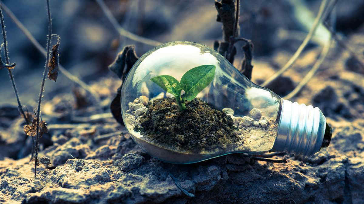 Risparmio energetico: come evitare 5 abitudini quotidiane che fanno sprecare energia