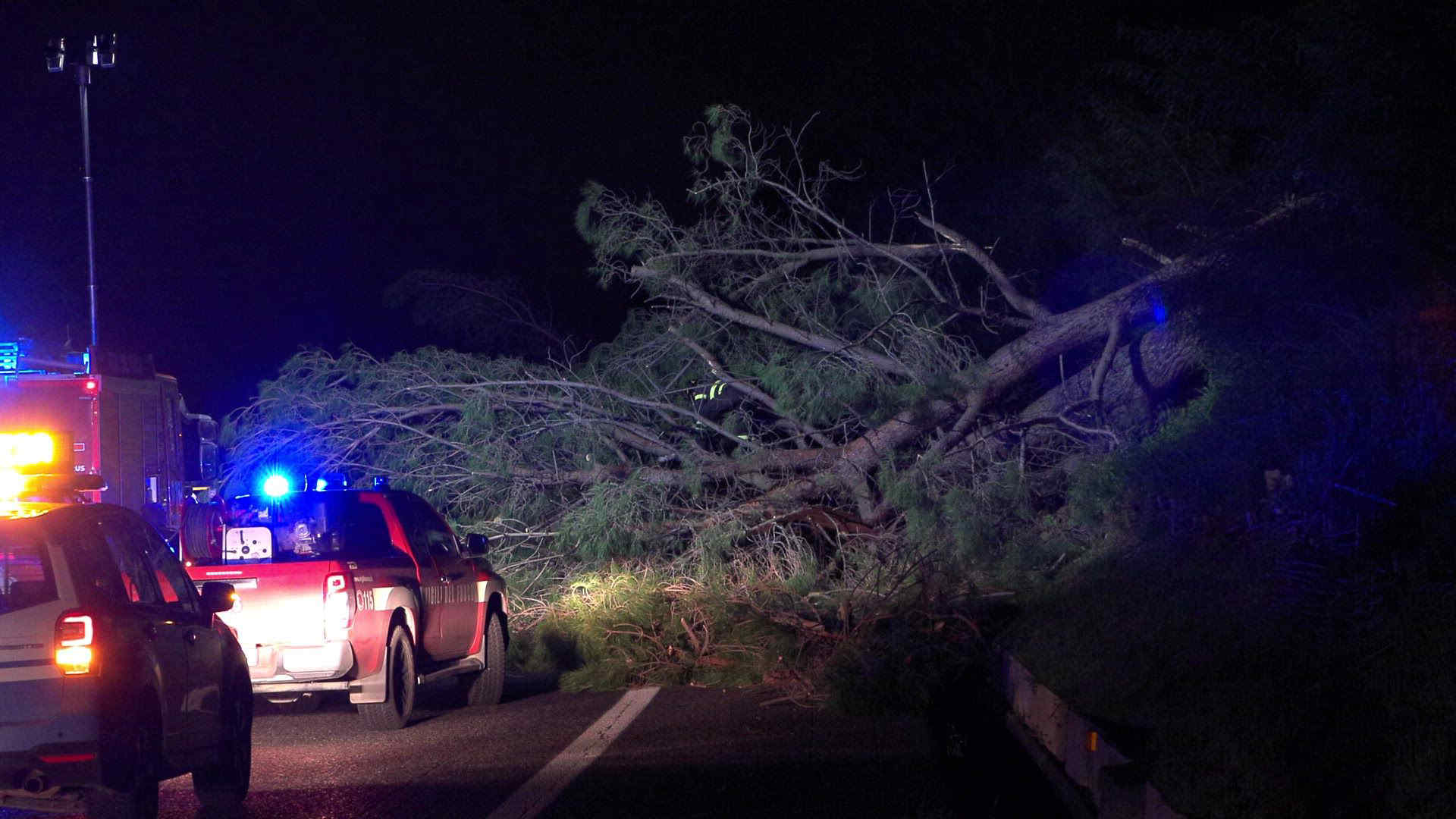 Maltempo in Sicilia, vento forte a Trapani: segnalato un albero caduto su auto
