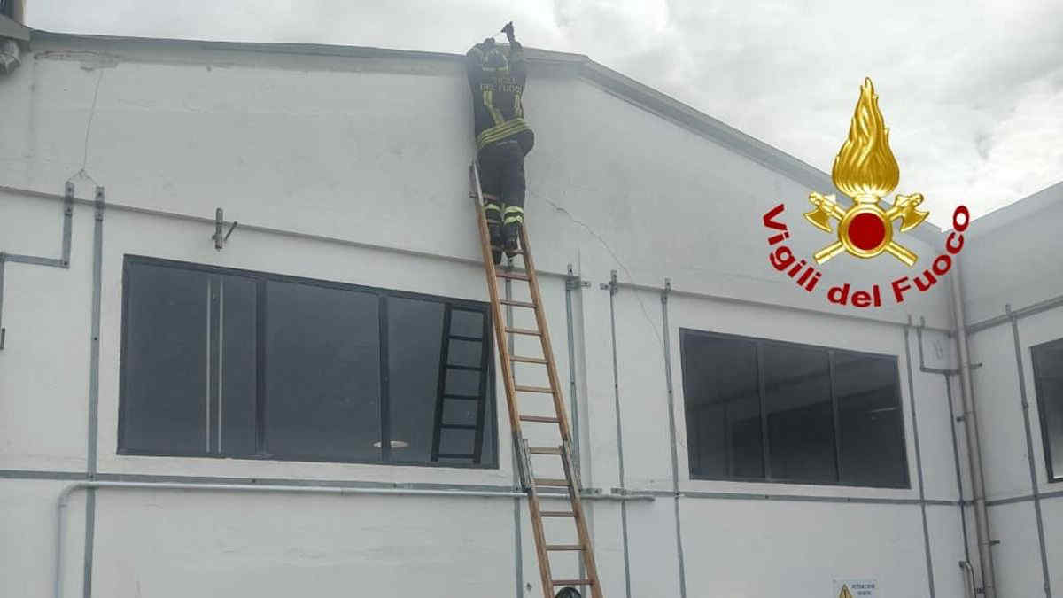 Maltempo Sardegna, paura a Villasimius: il vento fa crollare tetto di una scuola. A Porto Torres traghetto rompe gli ormeggi per la mareggiata