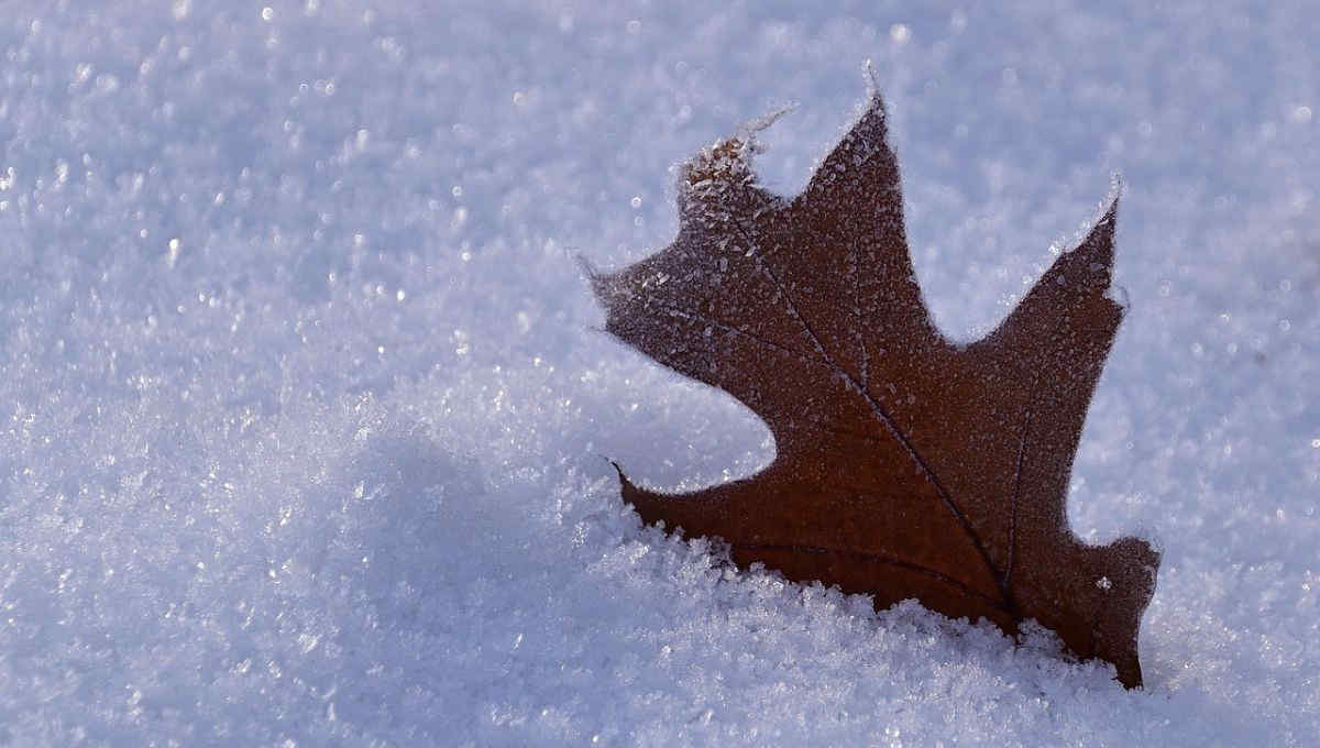 Lombardia, arriva la neve attorno ai 1000 metri: ecco le aree interessate