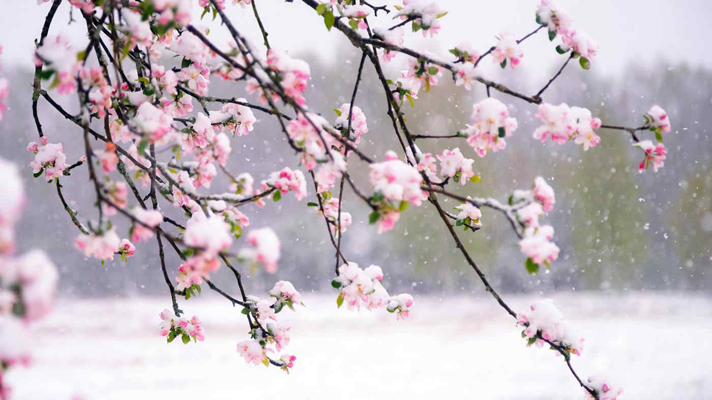 Meteo Italia: discesa artica tra mercoledì e giovedì con venti forti e calo termico