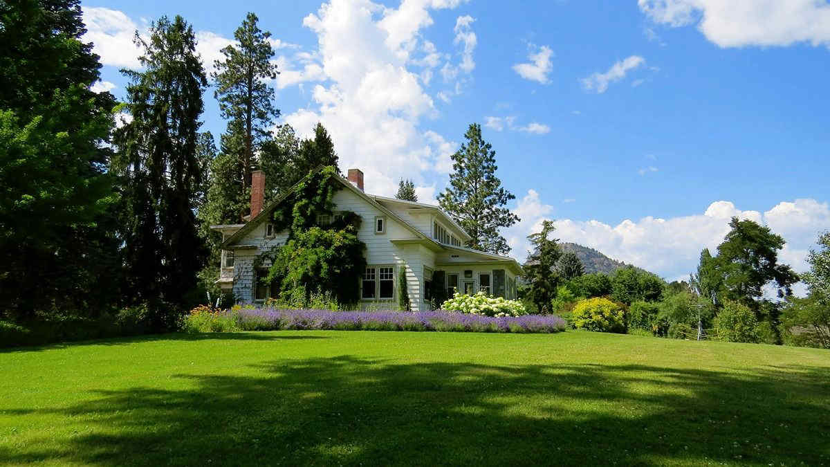 Cura del prato a marzo: i segreti per un manto erboso verde e folto in primavera