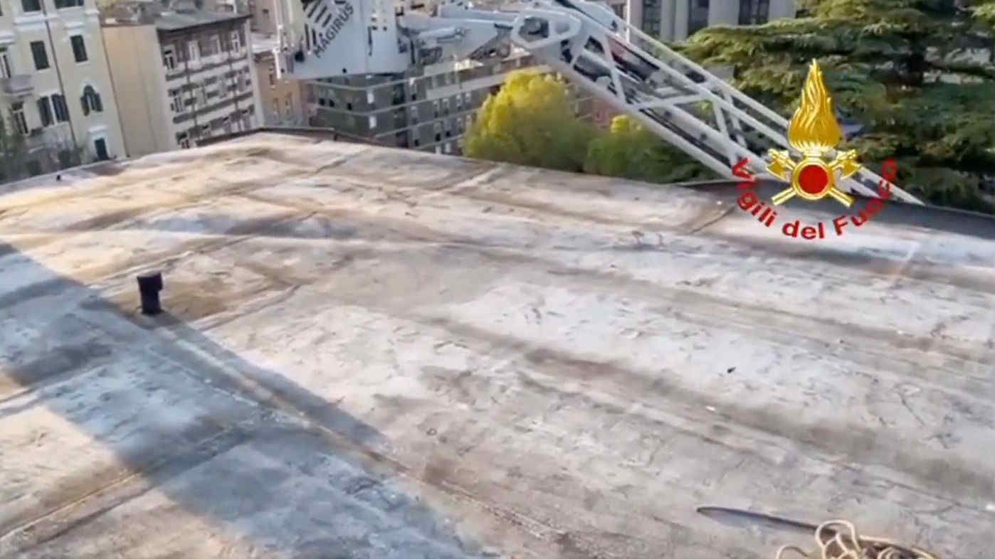 Bora su Trieste: oltre 40 interventi per alberi caduti e danni