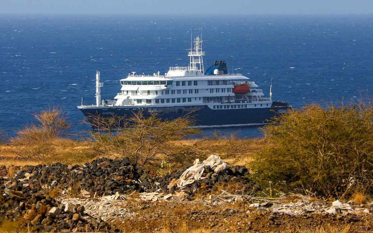 Hantavirus, nave da crociera alle Canarie: focolaio si estende, trasmissione tra le persone