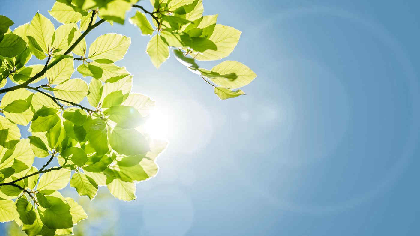 Meteo Italia, estate anticipata in arrivo: picchi di oltre trenta gradi nei prossimi giorni. Le previsioni