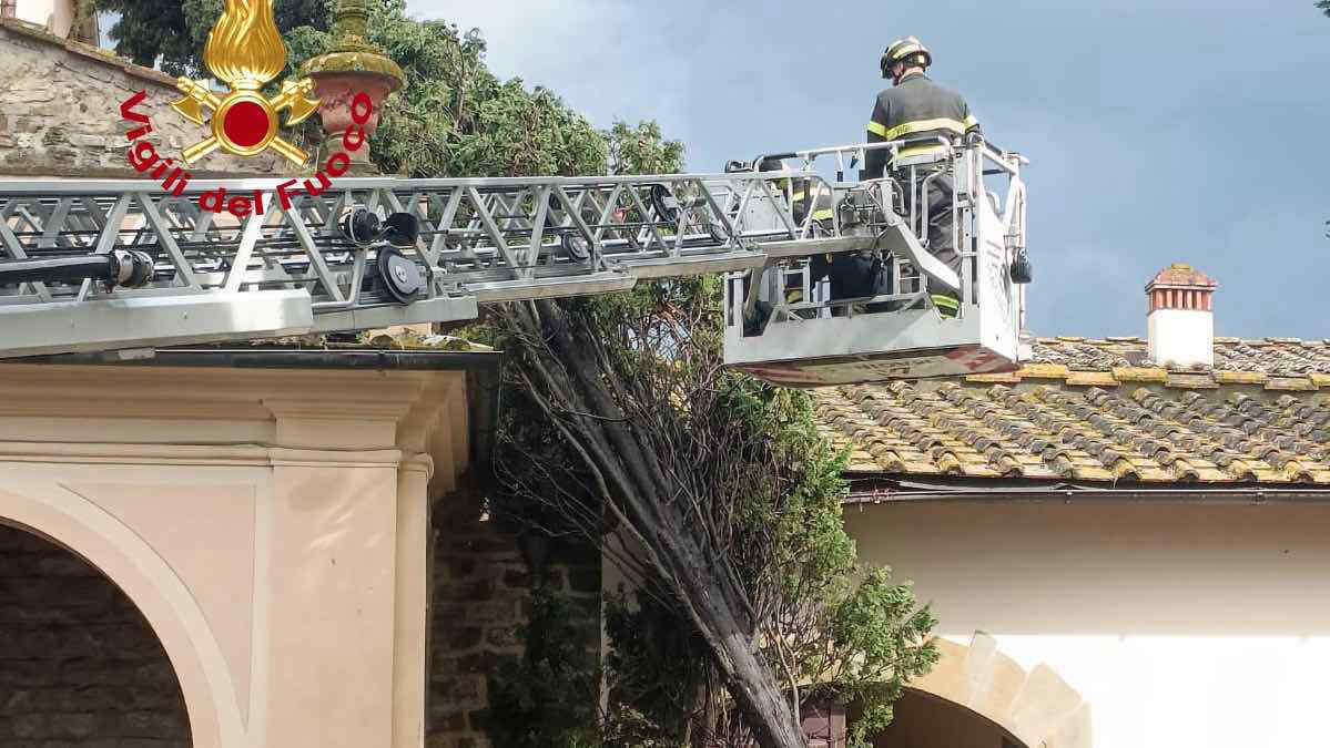 Maltempo in Toscana: allagamenti nelle cantine, un muro crollato e un albero caduto