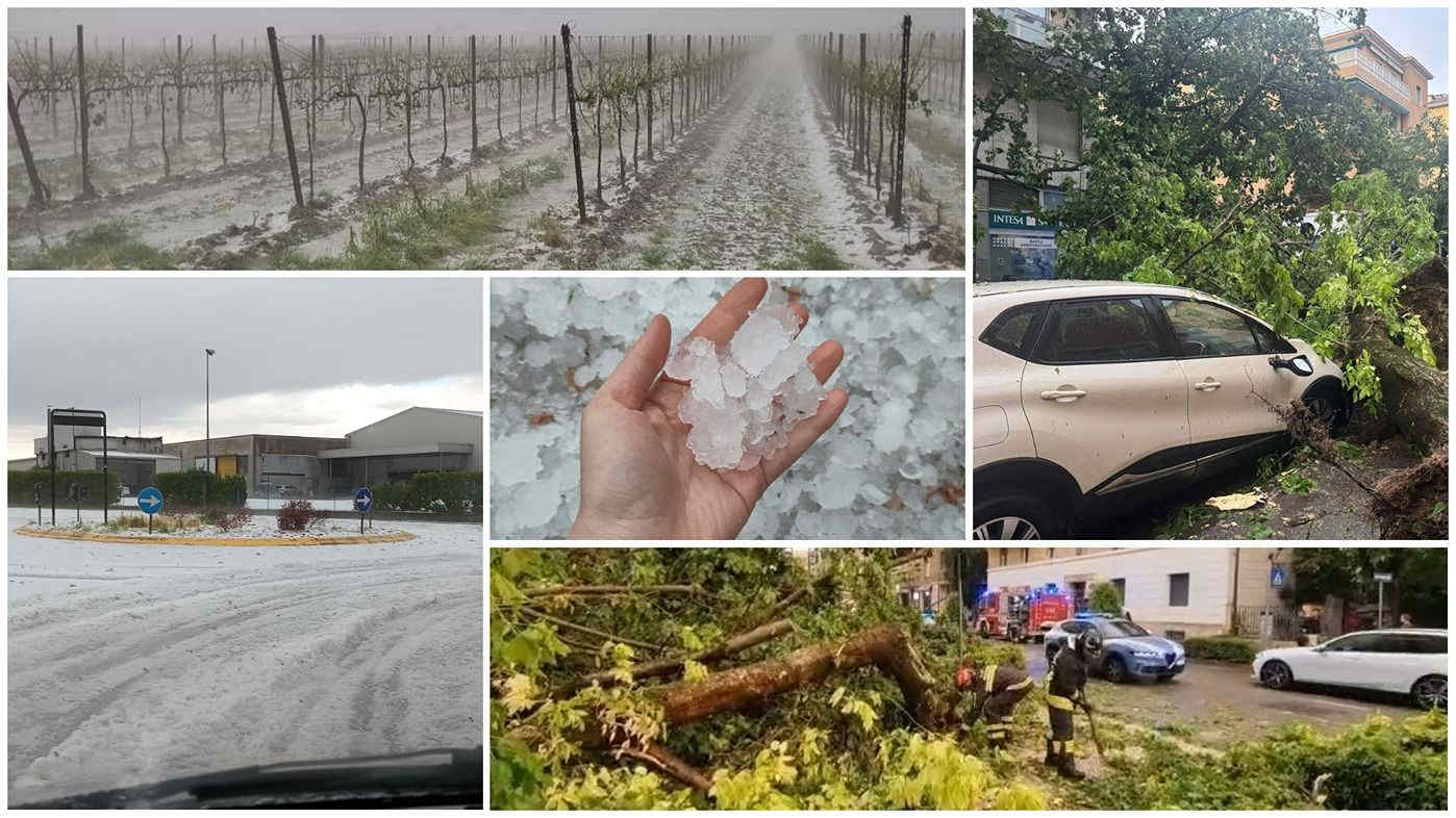 Maltempo nel Veronese: danni all'agricoltura dopo i temporali, allerta per il weekend