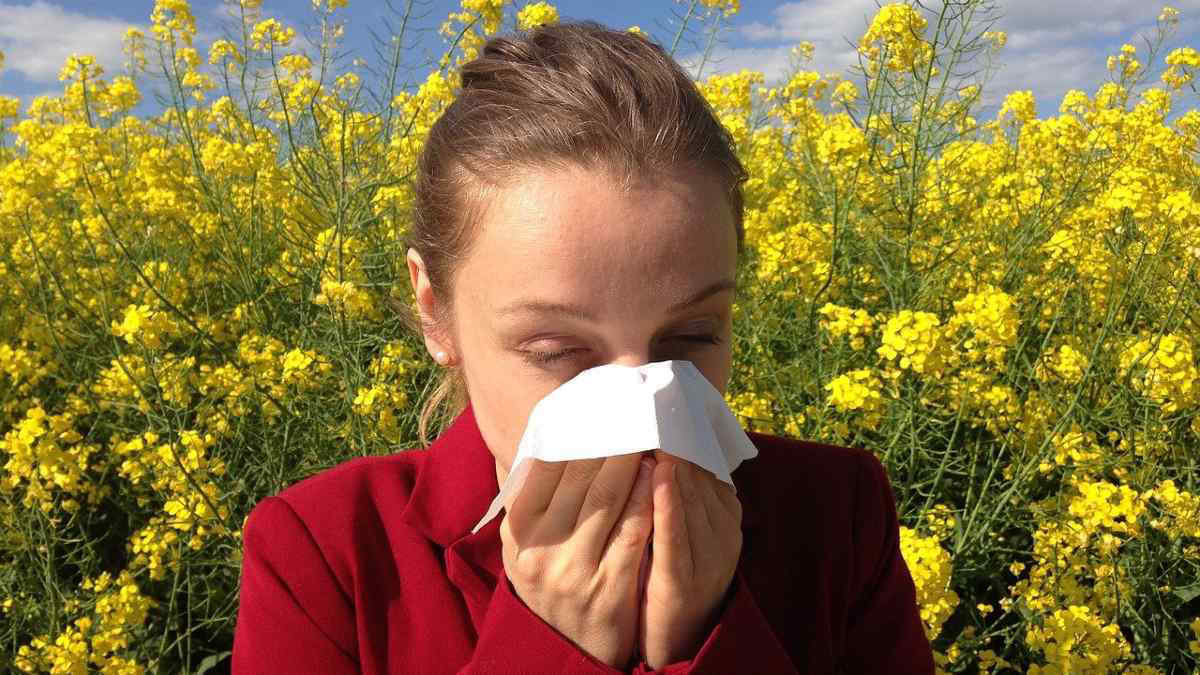Allergia ai pollini: sintomi più lunghi fino a due settimane per effetto del cambiamento climatico, secondo uno studio su The Lancet