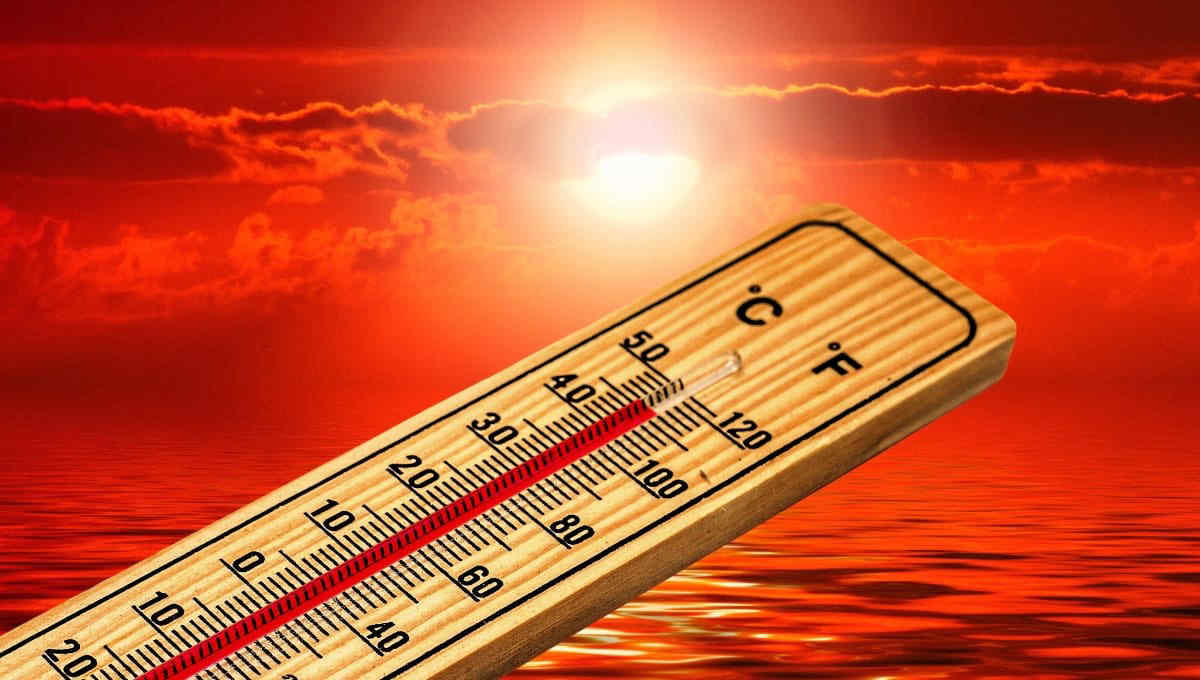 Meteo, allerta caldo il 30 giugno 2026 in Italia: 25 città da bollino rosso. Il bollettino sull'ondata di calore del Ministero della Salute