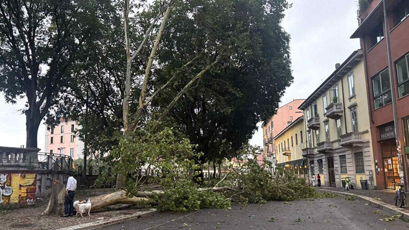 Nubifragio a Milano: allagamenti e alberi sradicati per il vento mandano in tilt il capoluogo lombardo