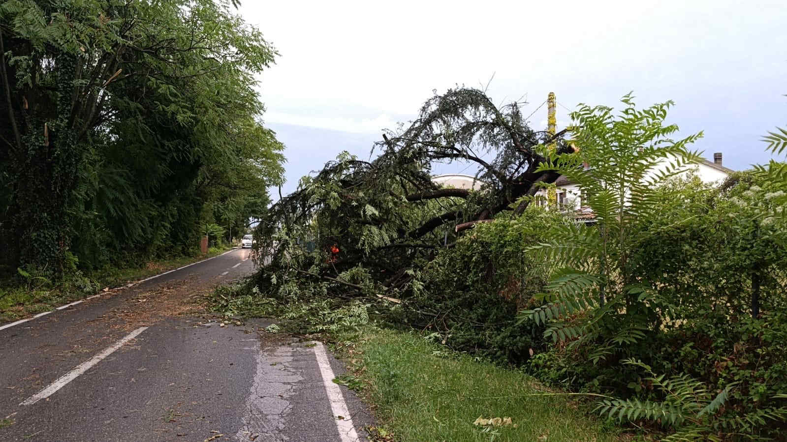Meteo, maltempo al Nord: raffiche fino a 120 km/h, grandine e nubifragi provocano danni. Un morto nel Modenese