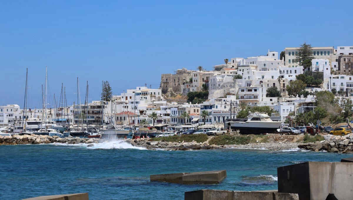 Grecia, barriere galleggianti per proteggere i bagnanti da alcuni pesci