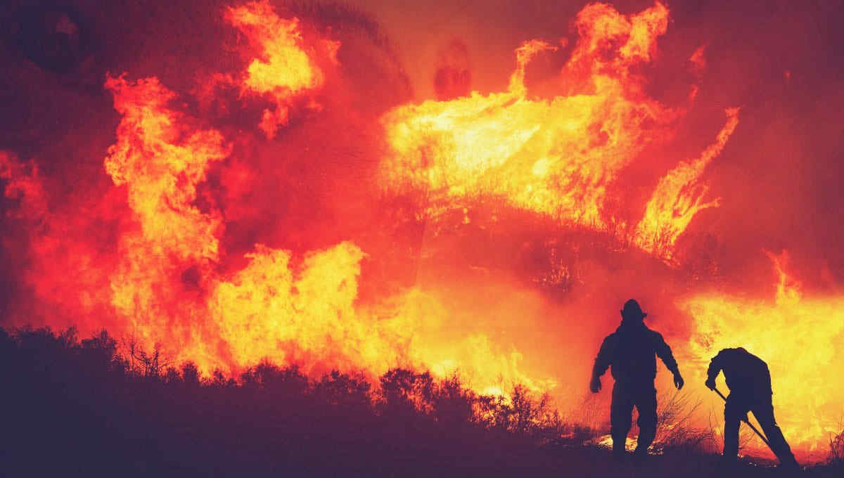 Incendi in Canada, nube di fumo tossico fino a New York: allerta per la qualità dell’aria