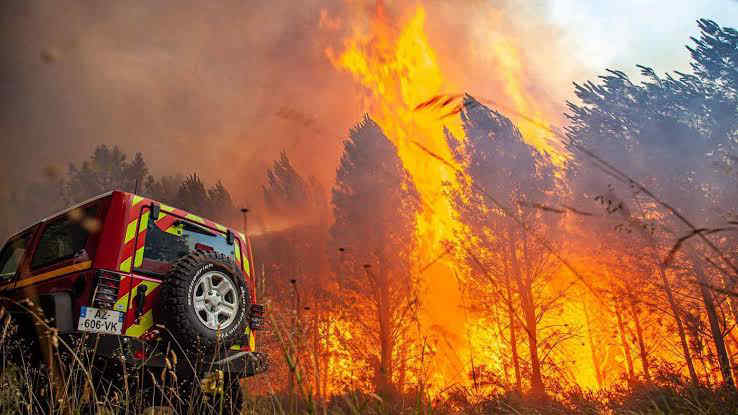 Incendi, stagione sempre più lunga: quasi 500 roghi prima dell'estate. Il report di Legambiente