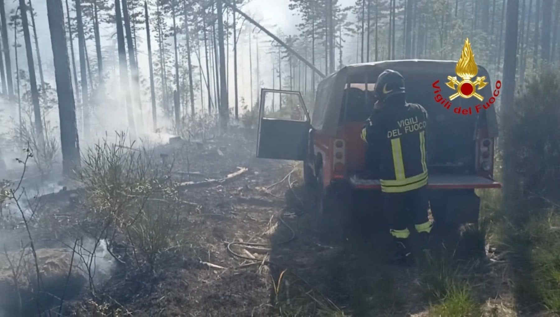 Incendio nel Mugello, distrutti 10 ettari di bosco: si indaga su una possibile grigliata