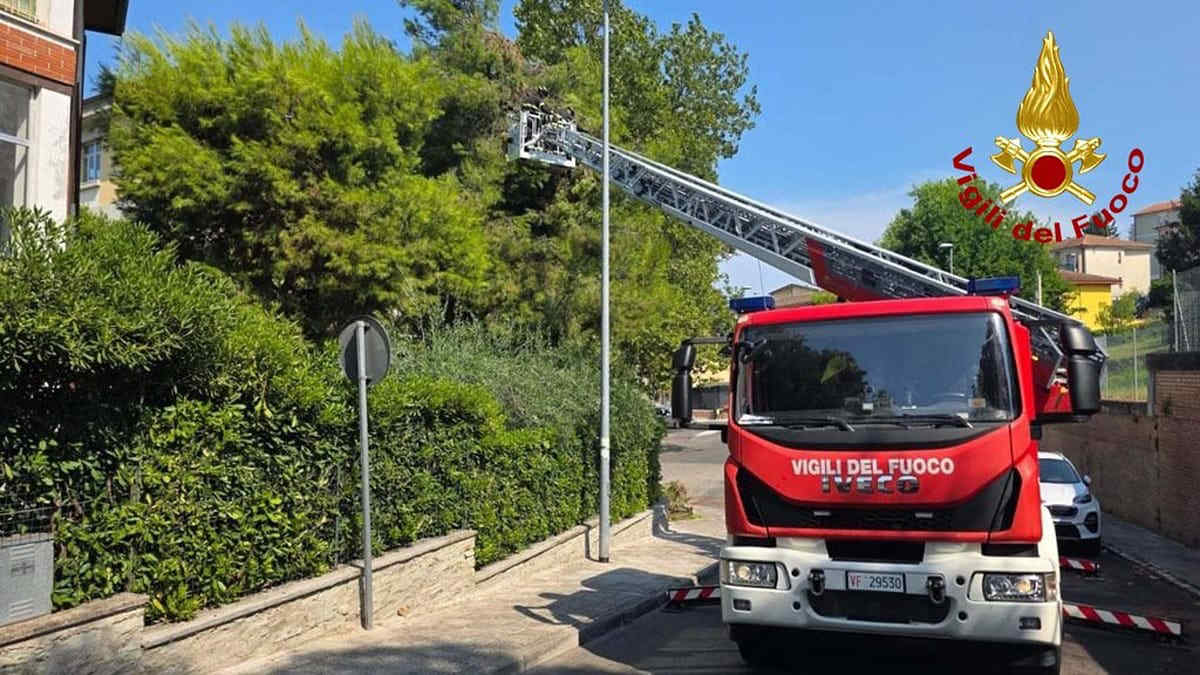 Maltempo nelle Marche: tromba d’aria, grandine e bomba d’acqua, danni e alberi sulle auto