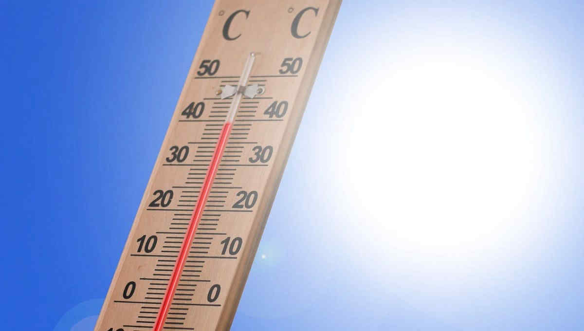 Meteo, avviso di allerta caldo estremo in Italia per l'8 agosto 2026: le città a rischio per il Ministero della Salute