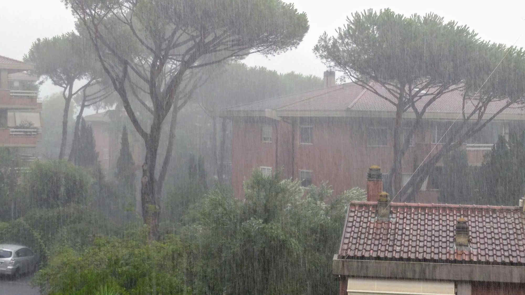 Maltempo Roma, violenta grandinata sulla Capitale: alberi e rami caduti