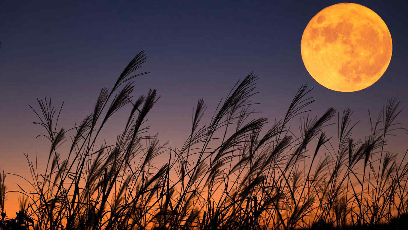 Luna piena di settembre, arriva la Luna del Raccolto: ecco quando sarà visibile