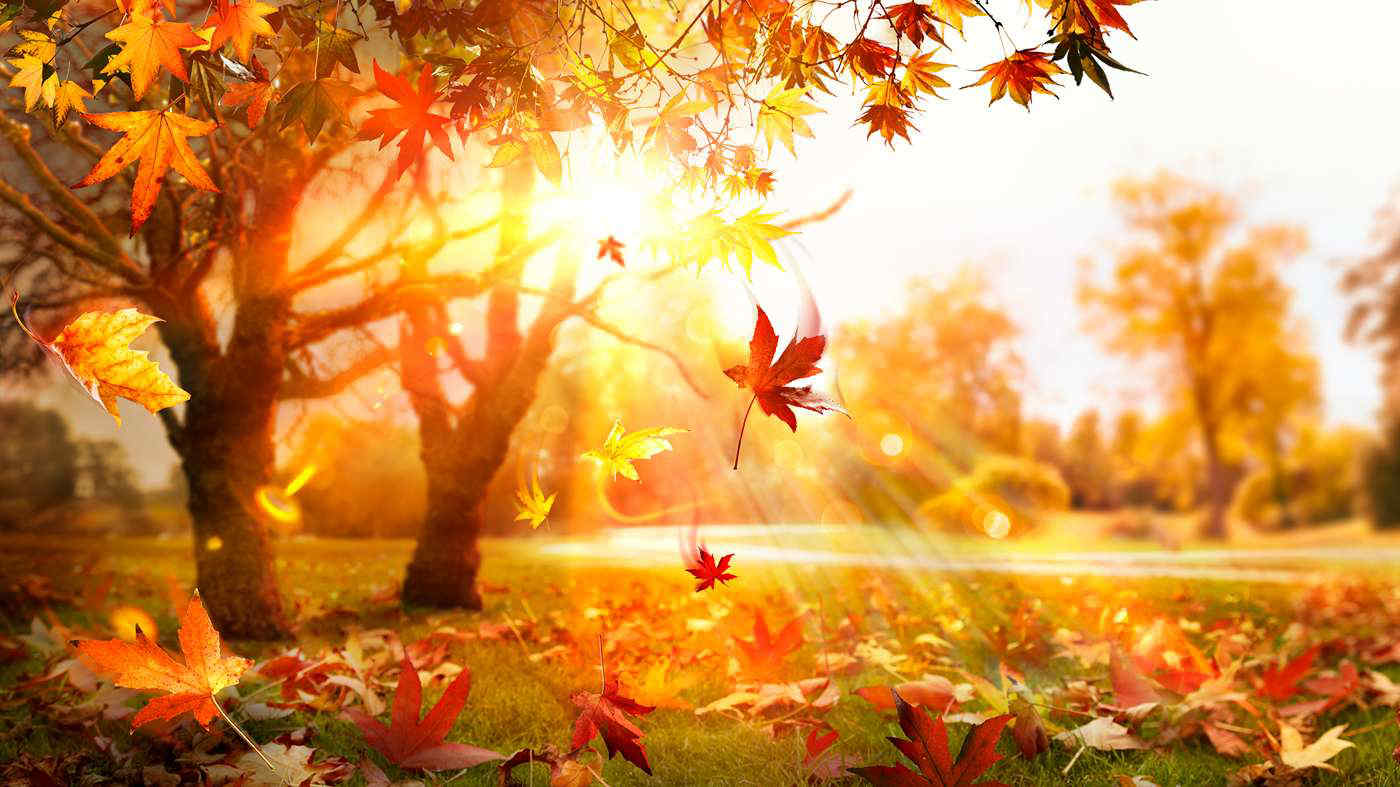 Perché l'autunno meteorologico inizia il 1 settembre?