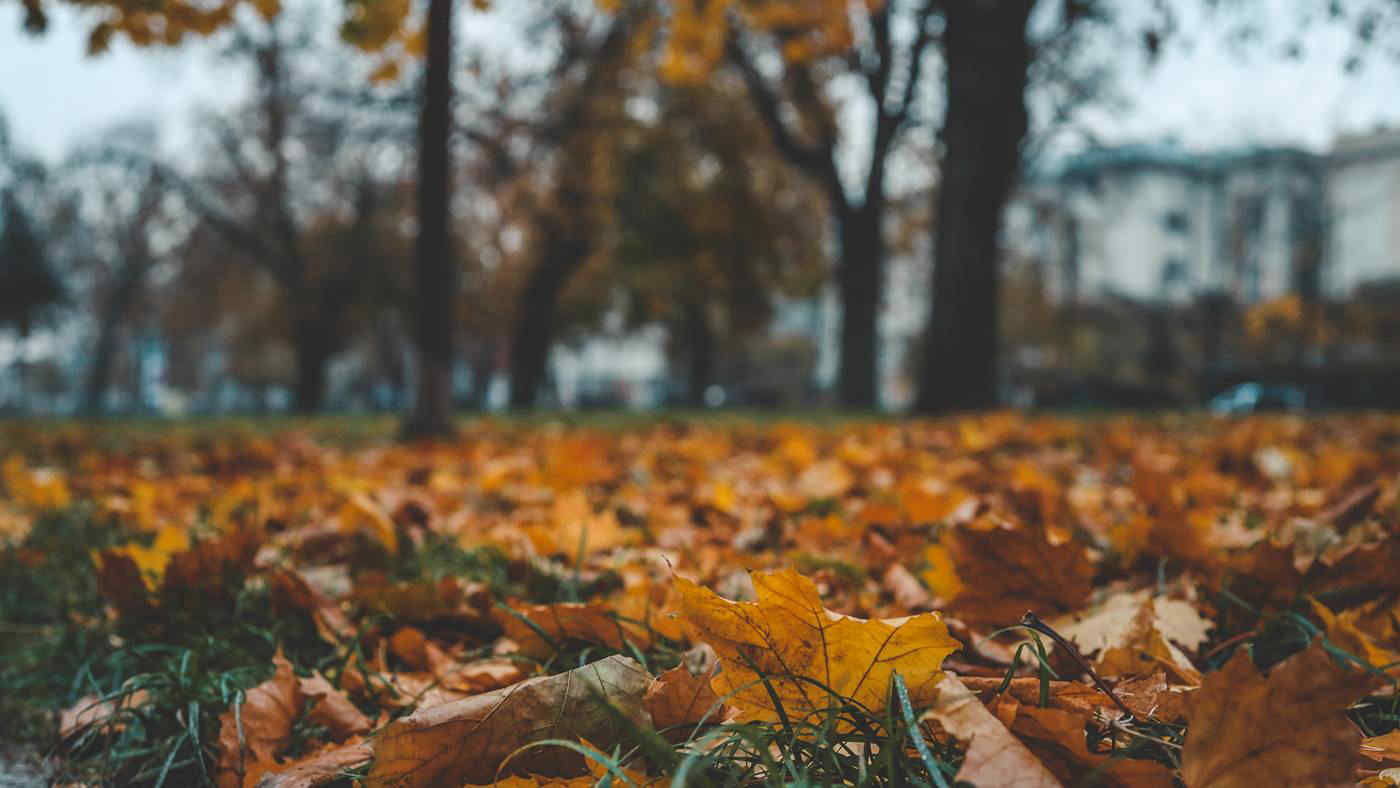 Meteo Italia, arriva il primo assaggio d’autunno: temperature giù fino a 7 gradi. Le previsioni