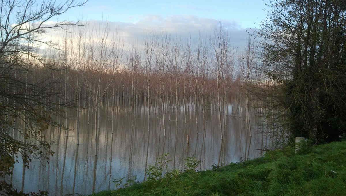 I fiumi del mondo stanno perdendo acqua: cosa sta succedendo secondo il nuovo rapporto WMO