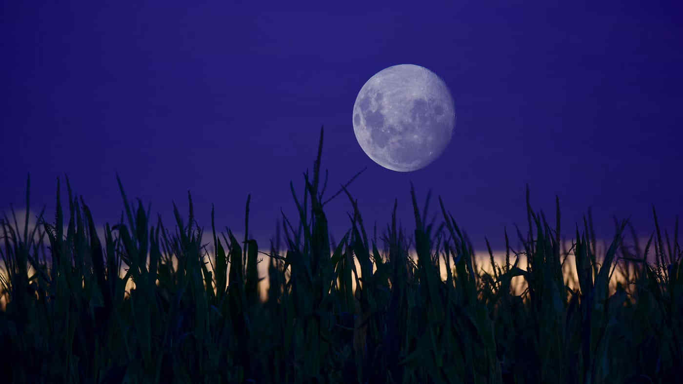 Luna piena di settembre, arriva la Luna del Raccolto: ecco quando sarà visibile