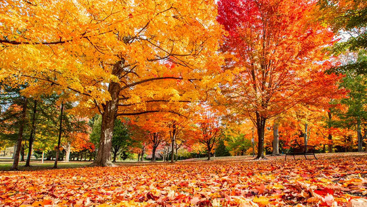 Quando inizia l'autunno in questo 2026? Ecco la data