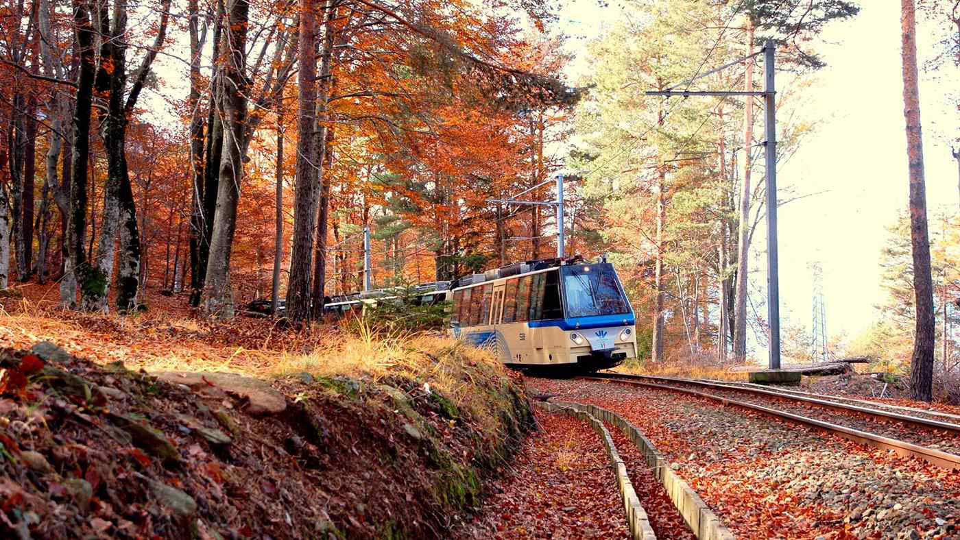 Treno del Foliage 2026, si riparte: ecco date e prezzi