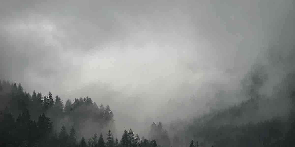 Nebbia, umidità e smog: perché l’inverno può peggiorare la qualità dell’aria?