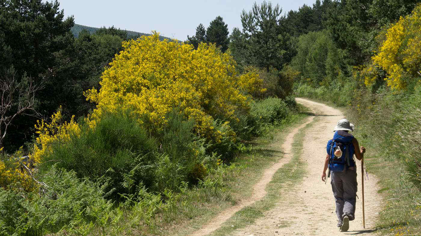 Viaggi spirituali e culturali: dai cammini sacri alle rovine antiche