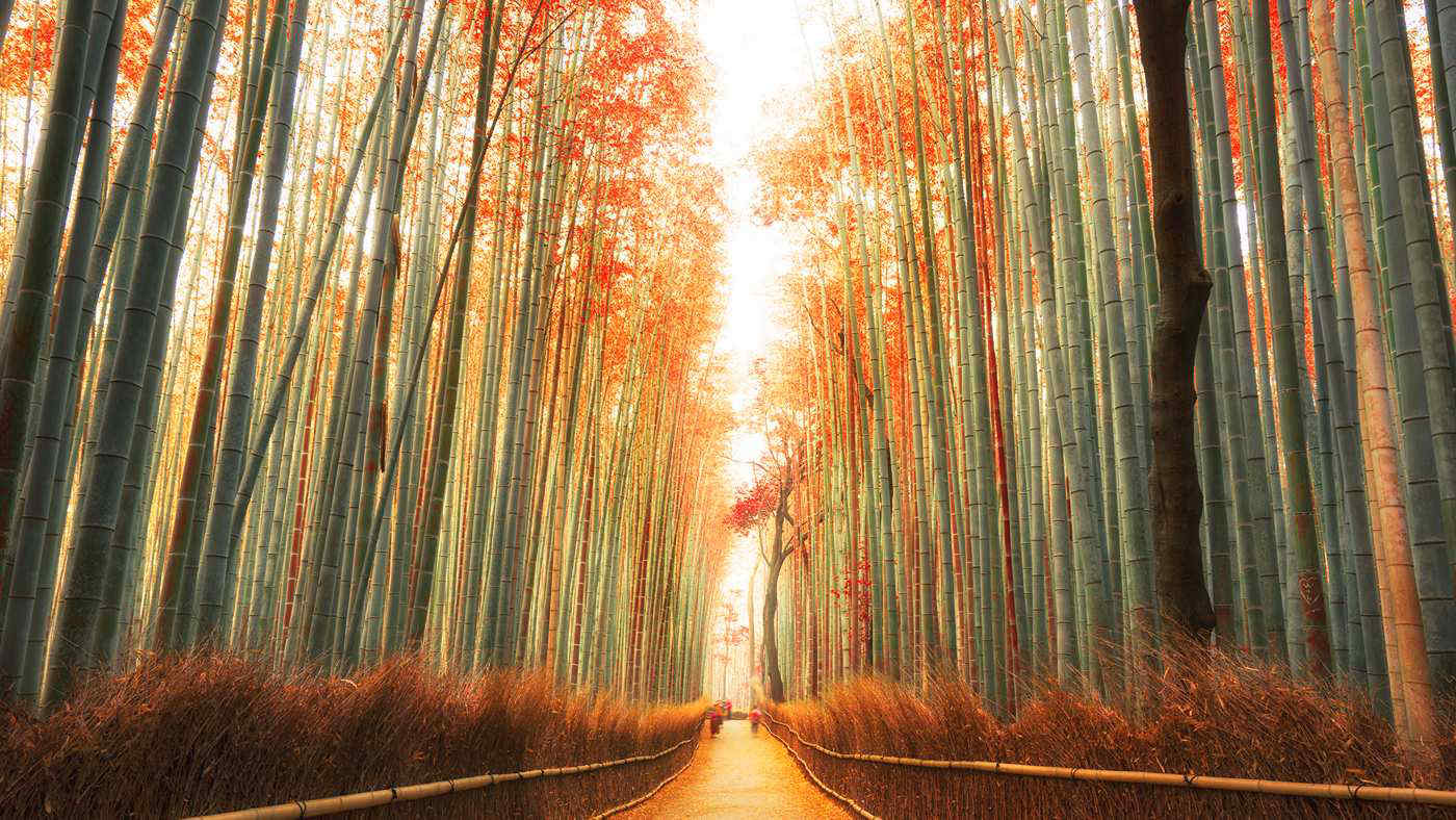 I 10 luoghi più spettacolari al mondo per ammirare il foliage autunnale: uno è vicino all’Italia