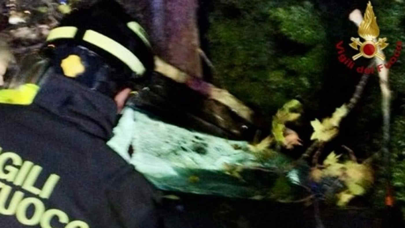 Maltempo, c’è una vittima: albero cade su un’auto a Jesolo