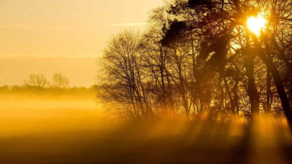 Meteo, anticiclone verso l'Italia: sole e clima mite, ma arriva anche la nebbia. La tendenza da lunedì 26 ottobre