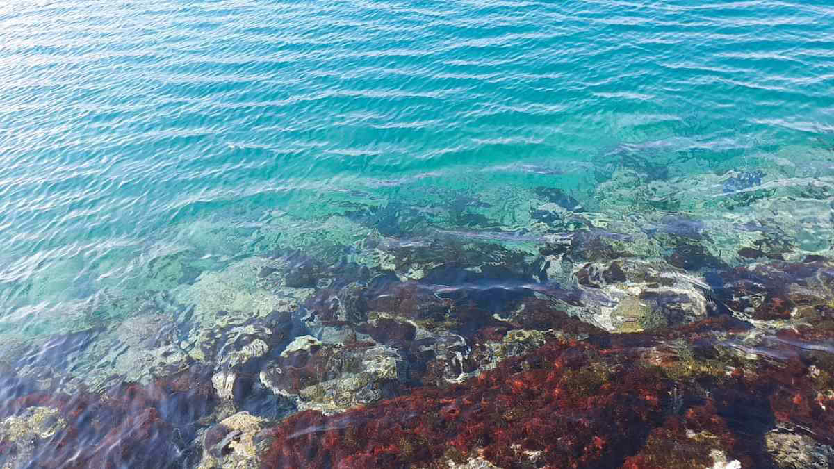 Clima, oceani più caldi spingono le piogge dei cicloni tropicali sempre più lontano dalle coste: lo studio