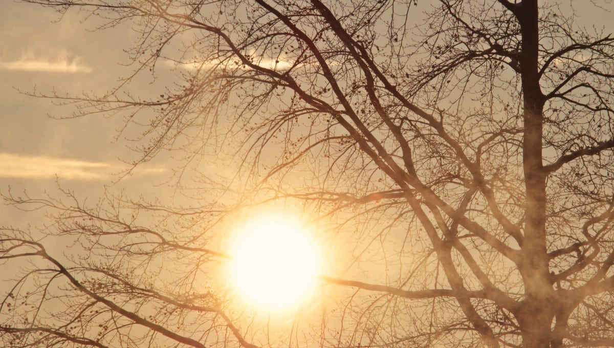 Meteo Italia, torna il sole dopo la pioggia: temperature fino a 24 gradi. Le previsioni