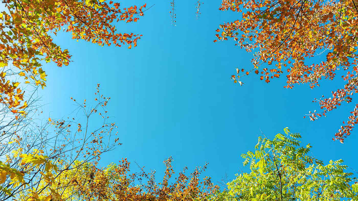 Meteo fine settimana: ottobre inizia con il sole, weekend estivo